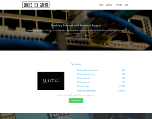 Daniels Tech Support, screenshot of the website